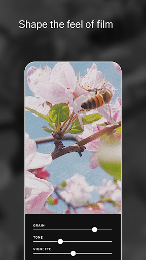 VSCO: Photo Editor 4